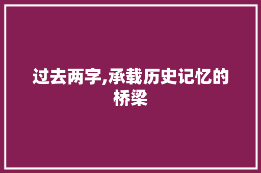 过去两字,承载历史记忆的桥梁