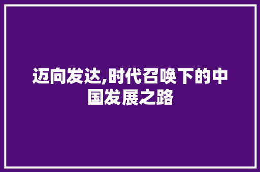 迈向发达,时代召唤下的中国发展之路