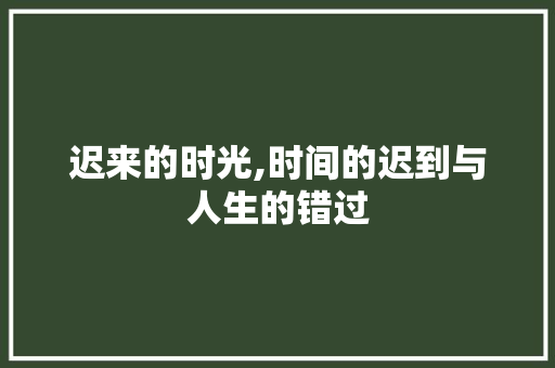 迟来的时光,时间的迟到与人生的错过