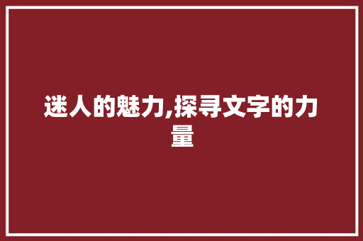 迷人的魅力,探寻文字的力量