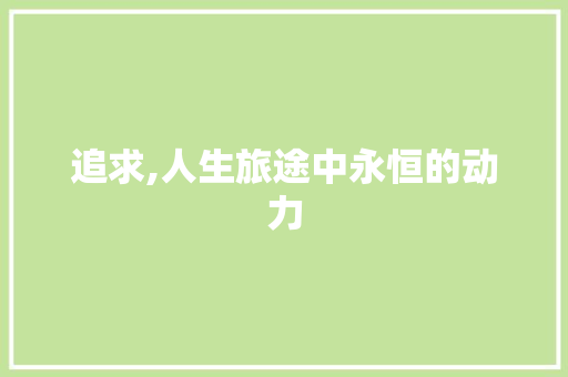 追求,人生旅途中永恒的动力