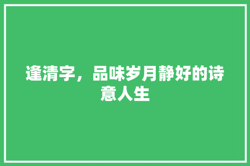 逢清字，品味岁月静好的诗意人生