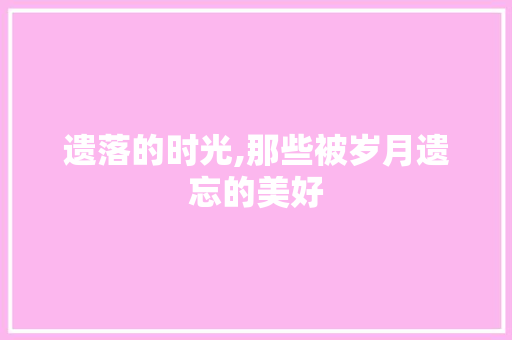 遗落的时光,那些被岁月遗忘的美好