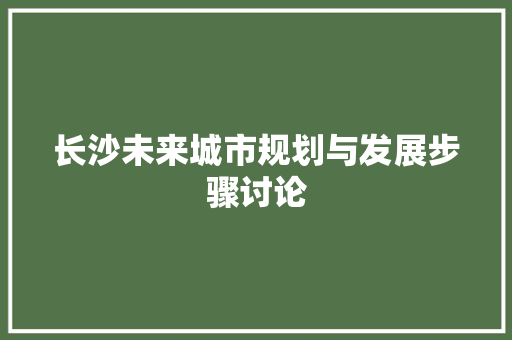 长沙未来城市规划与发展步骤讨论