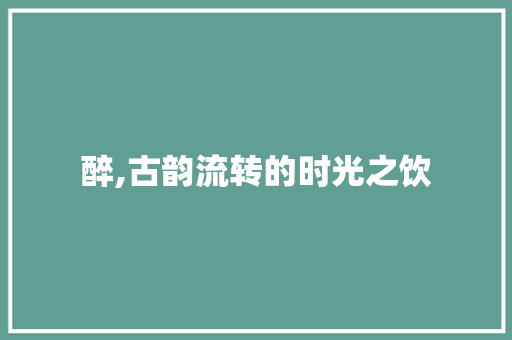 醉,古韵流转的时光之饮