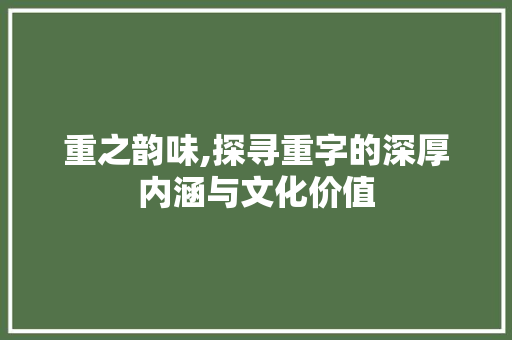 重之韵味,探寻重字的深厚内涵与文化价值