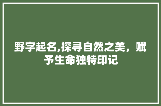 野字起名,探寻自然之美，赋予生命独特印记