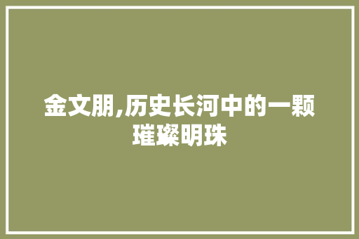 金文朋,历史长河中的一颗璀璨明珠