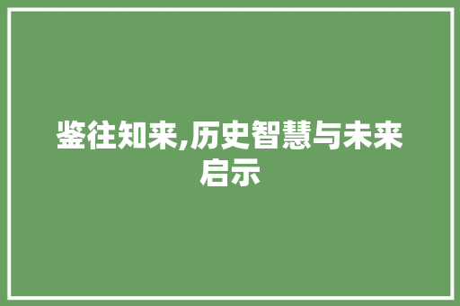 鉴往知来,历史智慧与未来启示