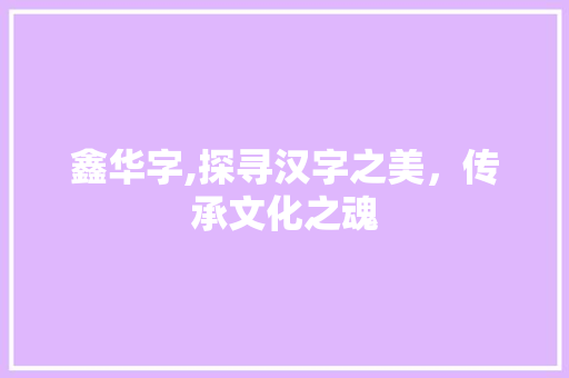 鑫华字,探寻汉字之美，传承文化之魂