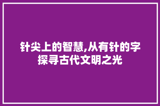 针尖上的智慧,从有针的字探寻古代文明之光