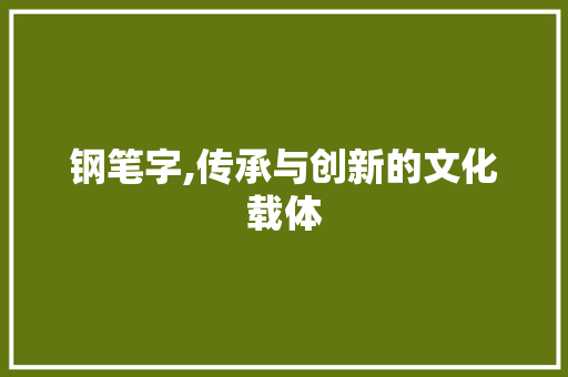 钢笔字,传承与创新的文化载体