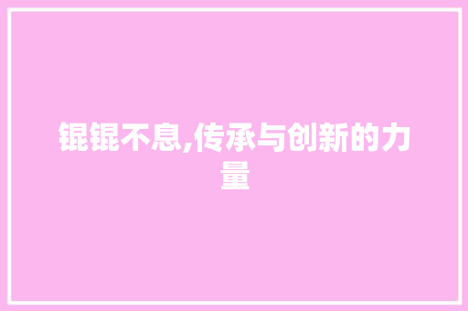 锟锟不息,传承与创新的力量