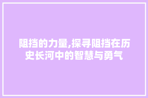 阻挡的力量,探寻阻挡在历史长河中的智慧与勇气