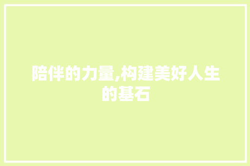 陪伴的力量,构建美好人生的基石