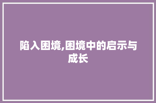 陷入困境,困境中的启示与成长