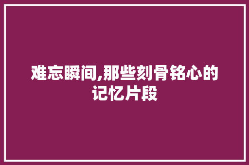 难忘瞬间,那些刻骨铭心的记忆片段