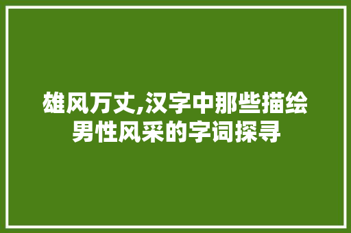 雄风万丈,汉字中那些描绘男性风采的字词探寻