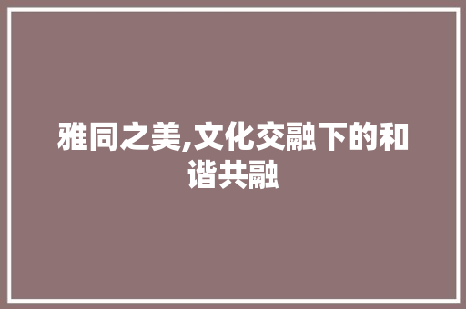 雅同之美,文化交融下的和谐共融