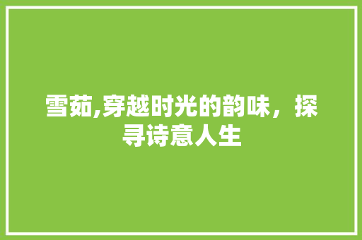 雪茹,穿越时光的韵味，探寻诗意人生