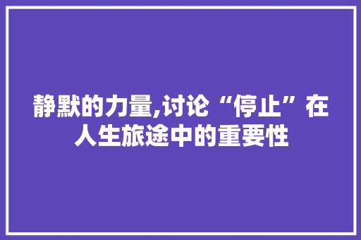 静默的力量,讨论“停止”在人生旅途中的重要性 工作总结