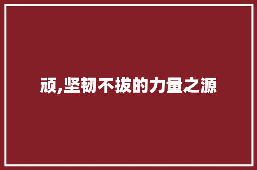 顽,坚韧不拔的力量之源
