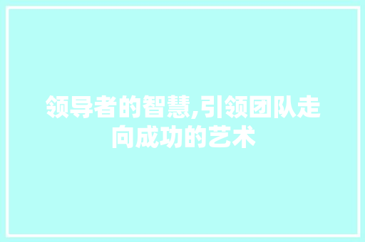 领导者的智慧,引领团队走向成功的艺术