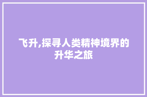 飞升,探寻人类精神境界的升华之旅