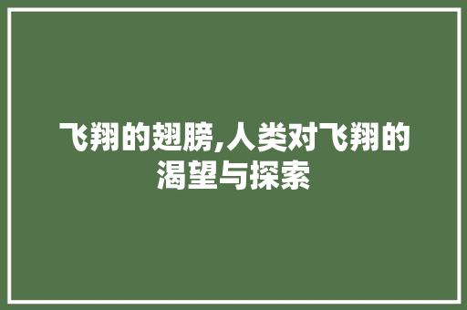 飞翔的翅膀,人类对飞翔的渴望与探索