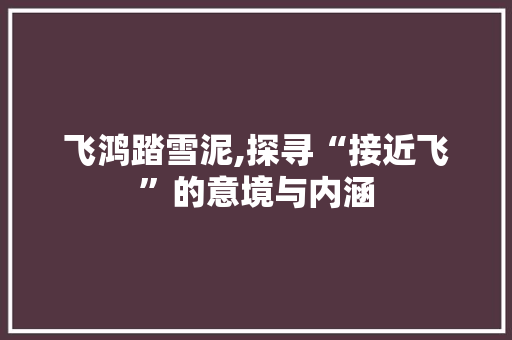 飞鸿踏雪泥,探寻“接近飞”的意境与内涵