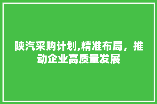 陕汽采购计划,精准布局，推动企业高质量发展
