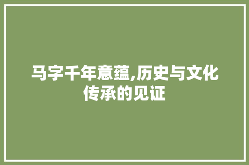 马字千年意蕴,历史与文化传承的见证