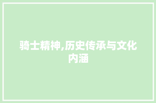 骑士精神,历史传承与文化内涵