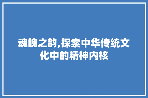 魂魄之韵,探索中华传统文化中的精神内核