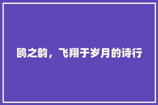 鸥之韵，飞翔于岁月的诗行