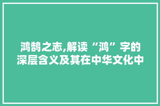 鸿鹄之志,解读“鸿”字的深层含义及其在中华文化中的价值