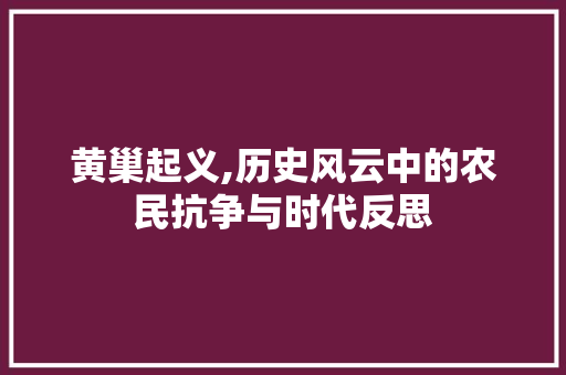 黄巢起义,历史风云中的农民抗争与时代反思