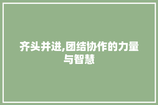 齐头并进,团结协作的力量与智慧