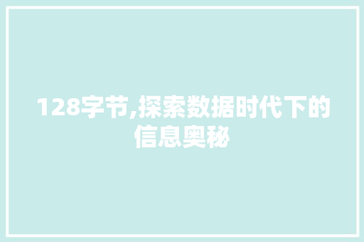 128字节,探索数据时代下的信息奥秘