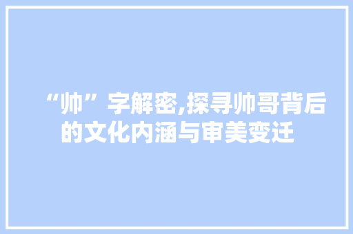 “帅”字解密,探寻帅哥背后的文化内涵与审美变迁