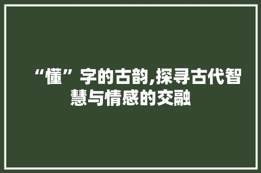 “懂”字的古韵,探寻古代智慧与情感的交融