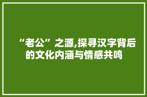 “老公”之源,探寻汉字背后的文化内涵与情感共鸣