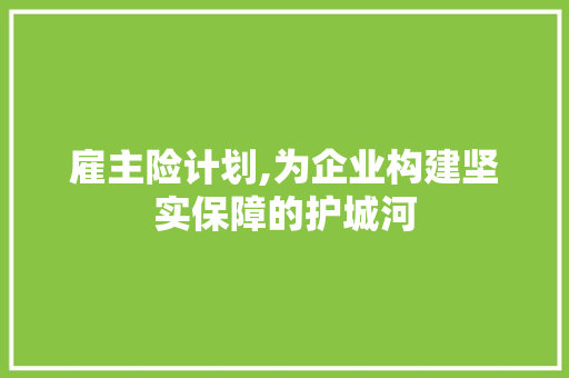 雇主险计划,为企业构建坚实保障的护城河