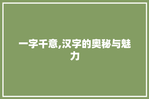 一字千意,汉字的奥秘与魅力