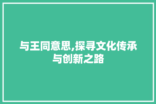 与王同意思,探寻文化传承与创新之路