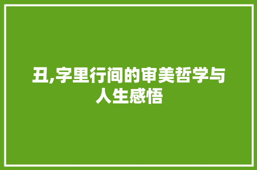 丑,字里行间的审美哲学与人生感悟