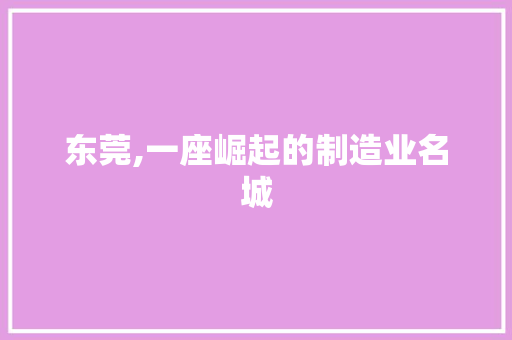 东莞,一座崛起的制造业名城