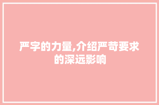 严字的力量,介绍严苛要求的深远影响