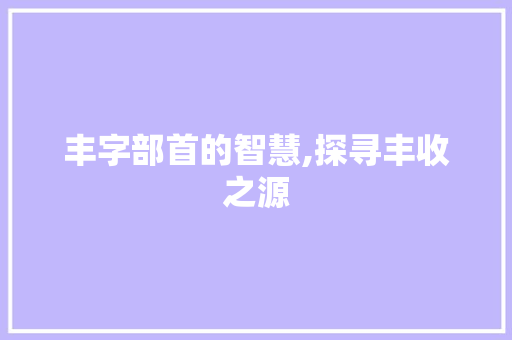 丰字部首的智慧,探寻丰收之源