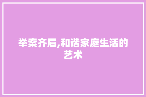 举案齐眉,和谐家庭生活的艺术